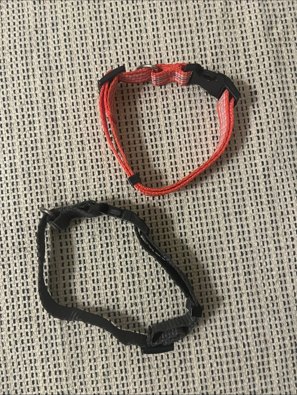 FREE Adjustable Collars